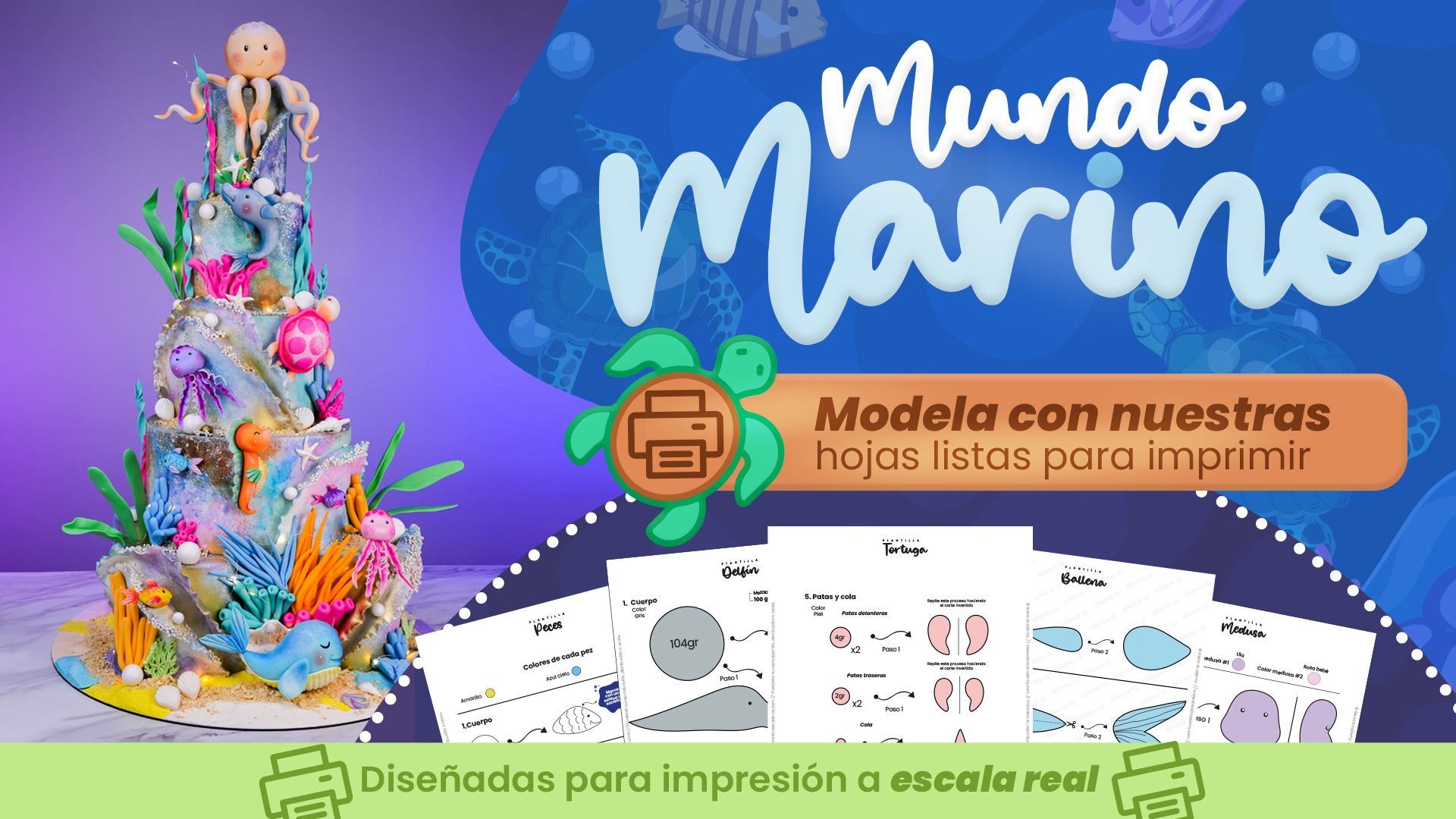 PORTADA COLECCION MOVIL MUNDO MARINO 1